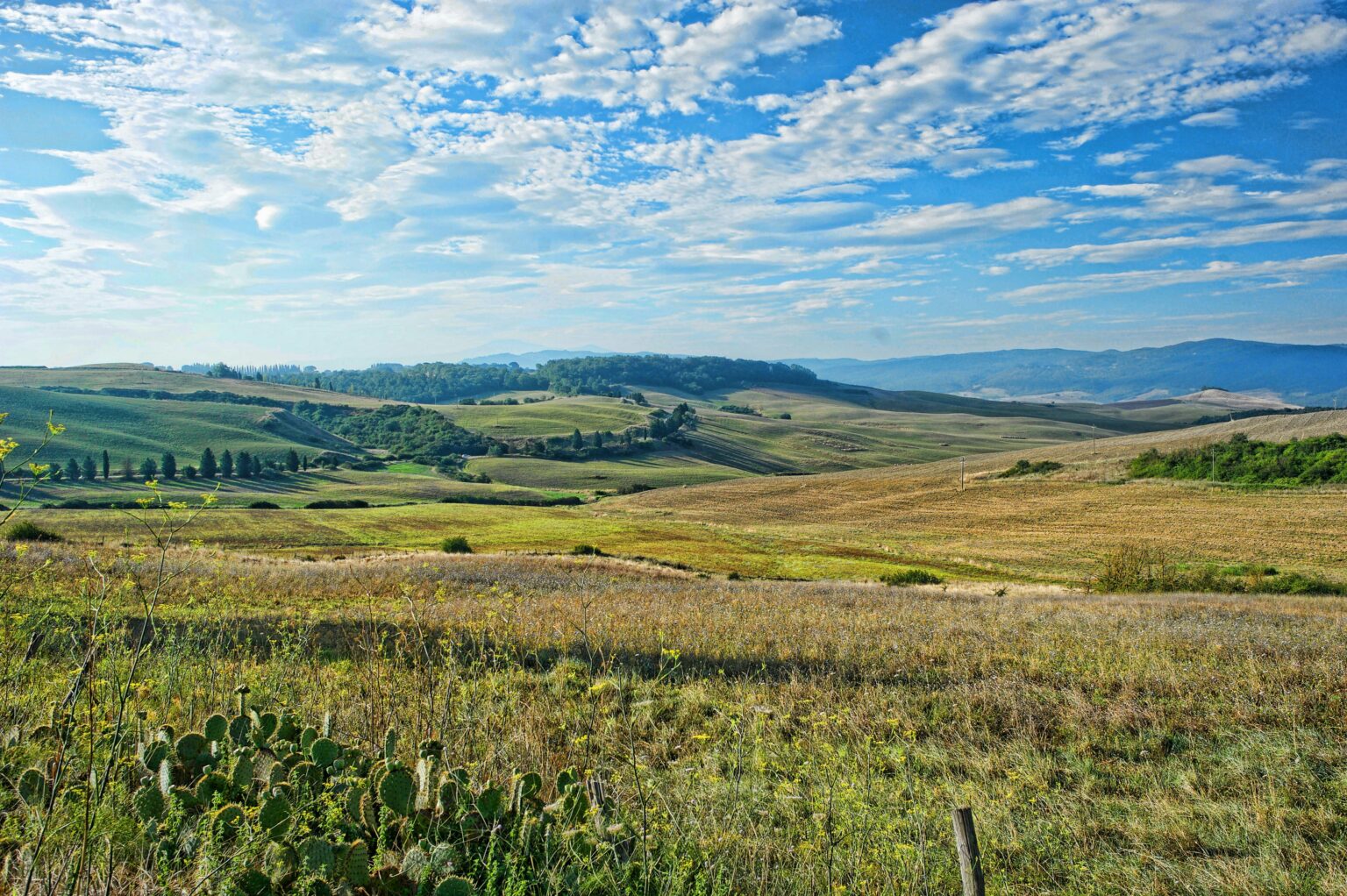 HIDDEN TUSCANY 1
