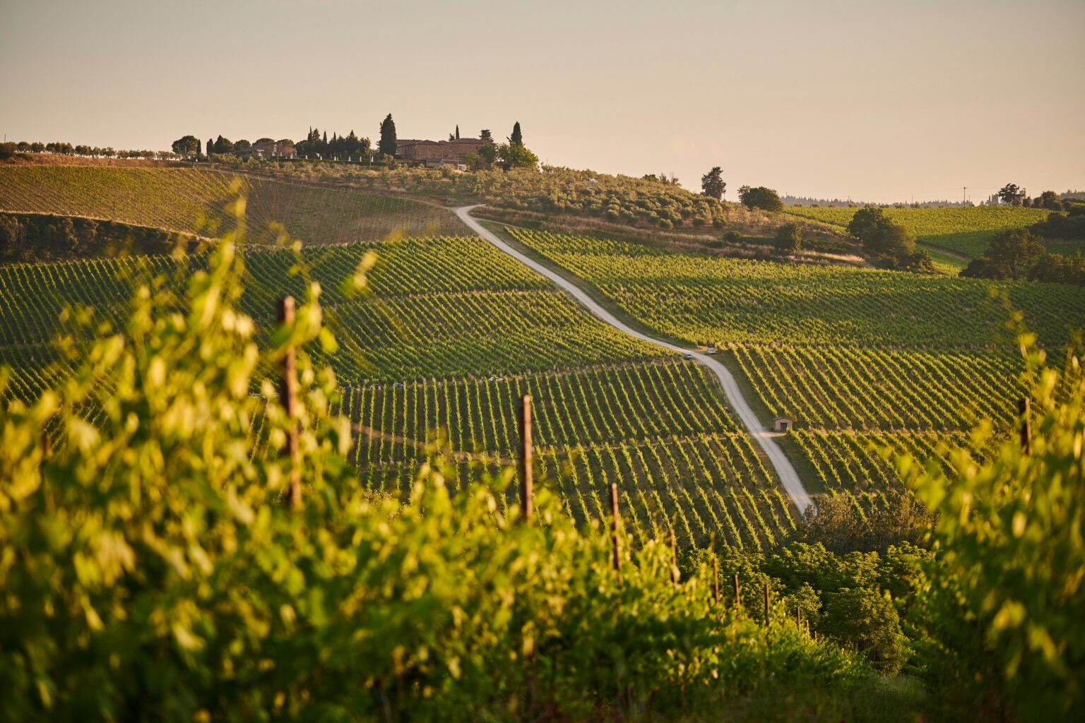 HIDDEN TUSCANY 2